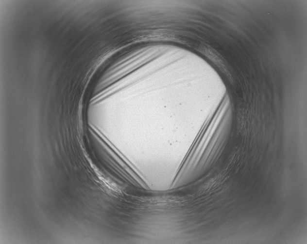 X0000051270988200507082238