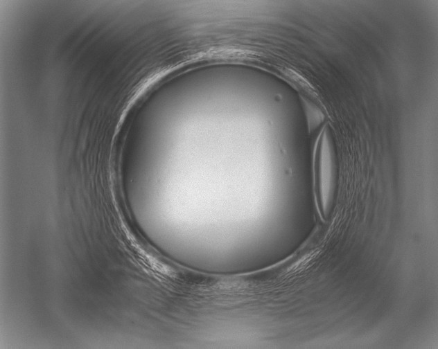 X0000051270989200507082238