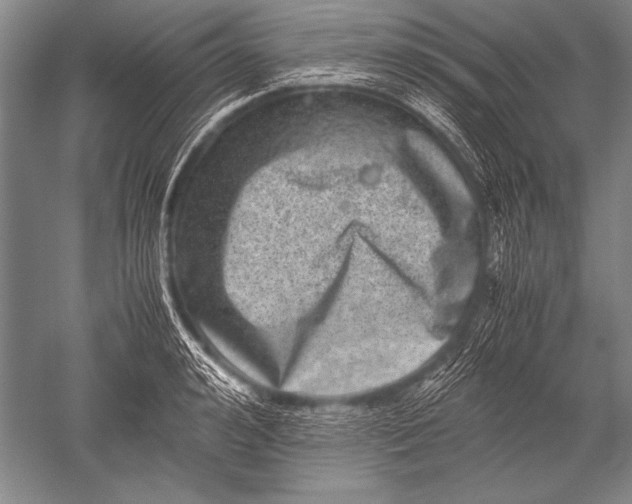 X0000051270992200507082238