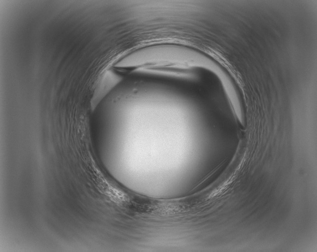 X0000051270993200507082238