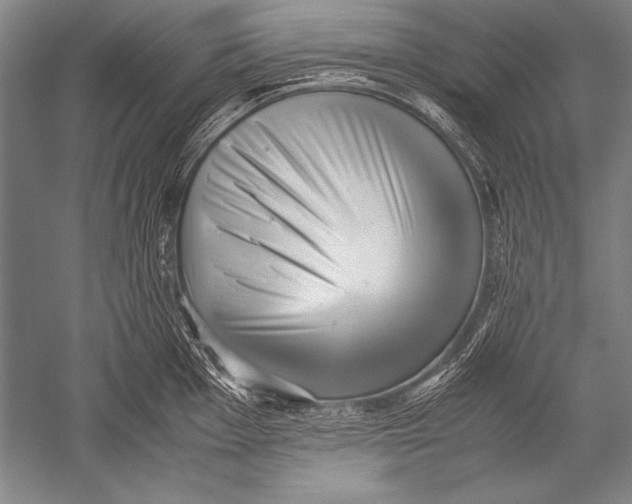 X0000051271001200507082238