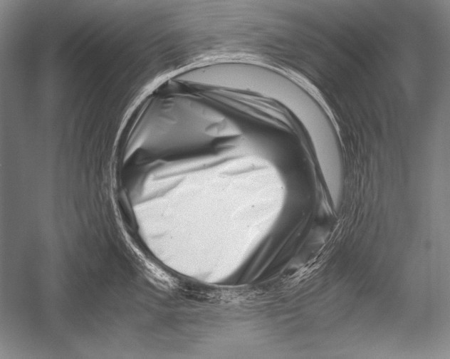 X0000051271005200507082238