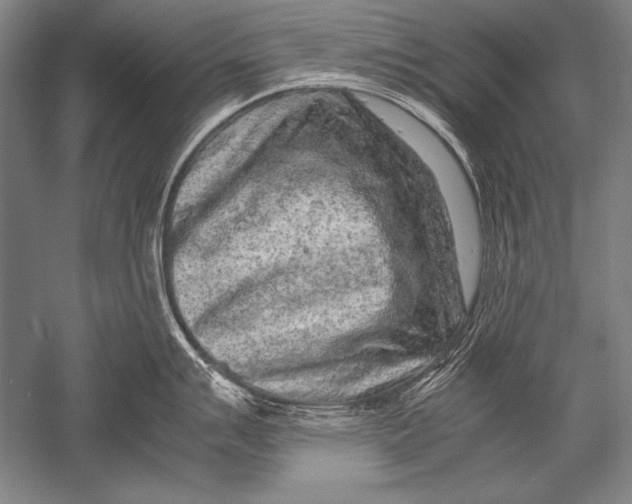 X0000051271007200507082238