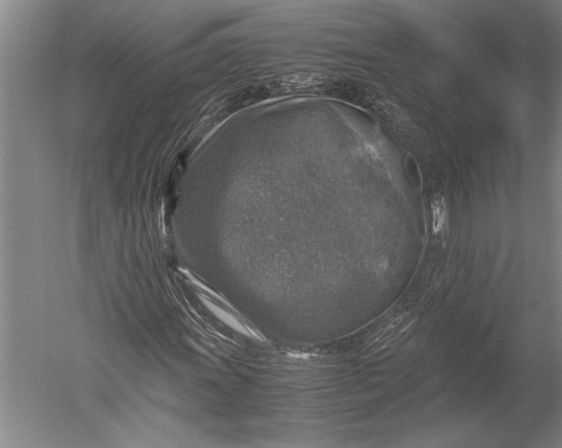 X0000051271011200507082237