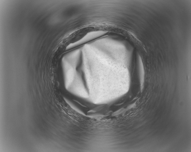 X0000051271016200507082237
