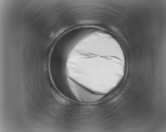 X0000051271017200507082237