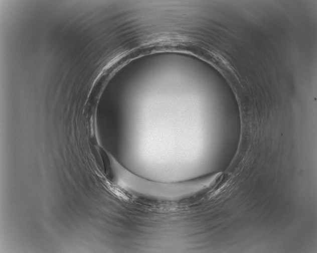 X0000051271018200507082237