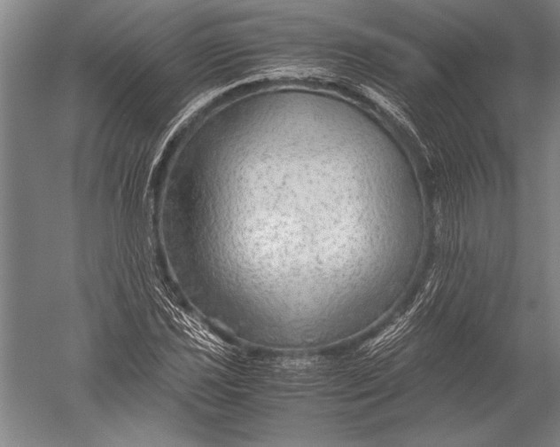 X0000051271021200507082237