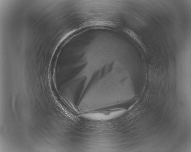 X0000051271024200507082237