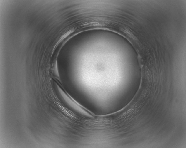 X0000051271026200507082237