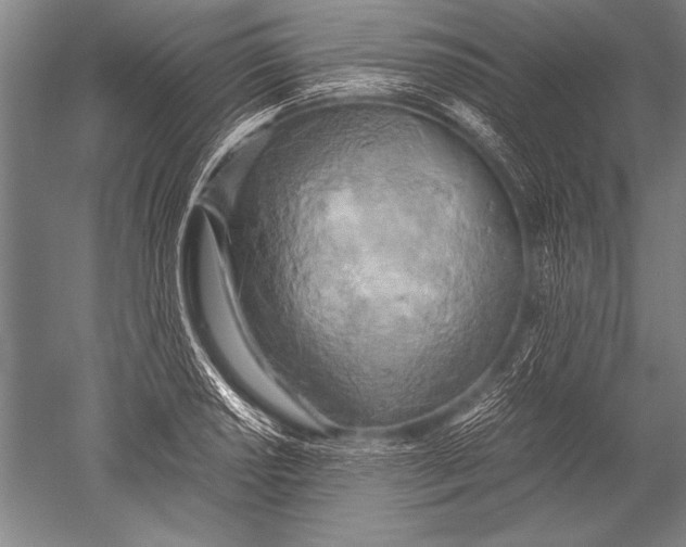 X0000051271034200507082238