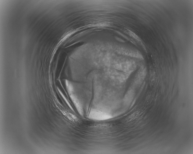 X0000051271035200507082238