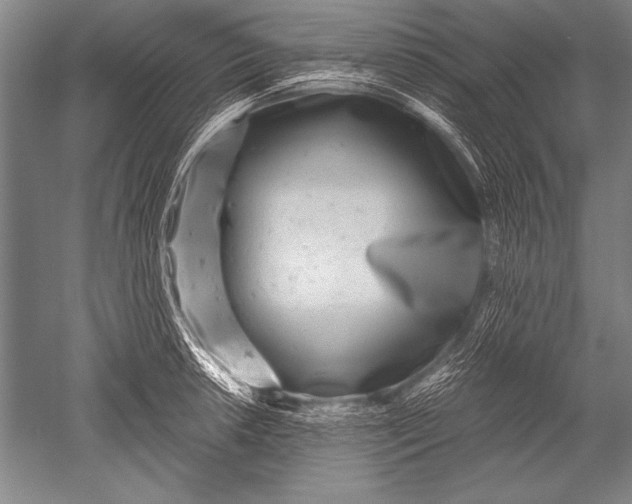 X0000051271042200507082238