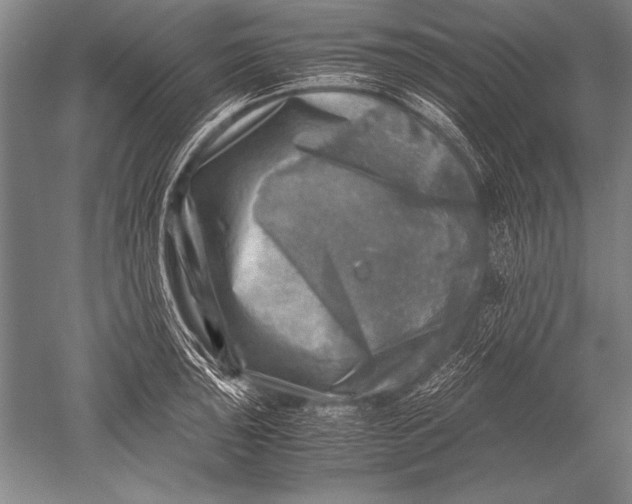 X0000051271043200507082238