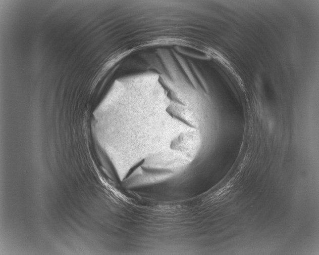 X0000051271049200507082238