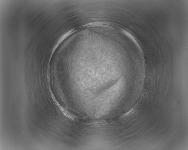 X0000051271050200507082238