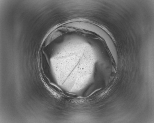 X0000051271054200507082238