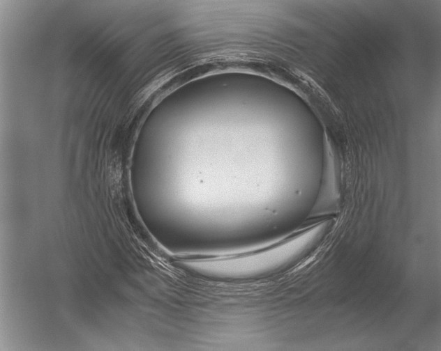 X0000051271065200507082237