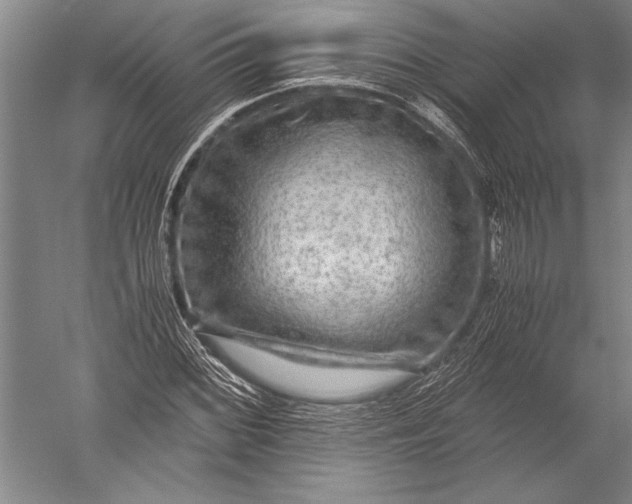 X0000051271068200507082237