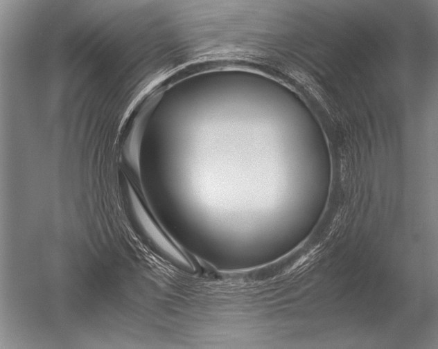X0000051271069200507082237