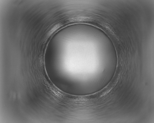 X0000051271073200507082237
