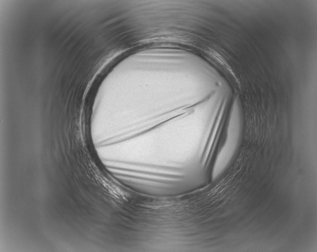 X0000051271076200507082237