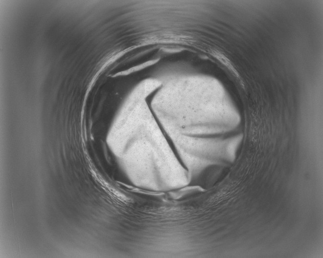X0000051271080200507082237