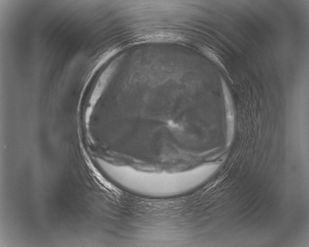 X0000051271087200507082237
