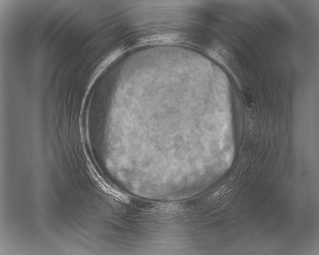 X0000051271090200507082237