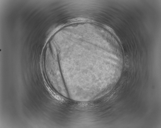 X0000051271098200507082236