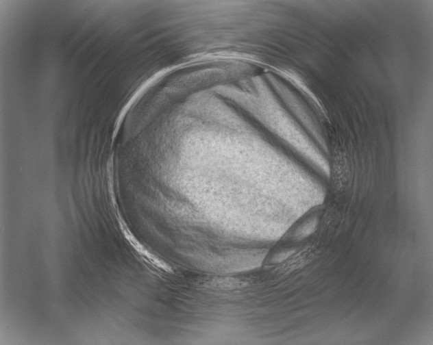 X0000051271100200507082236