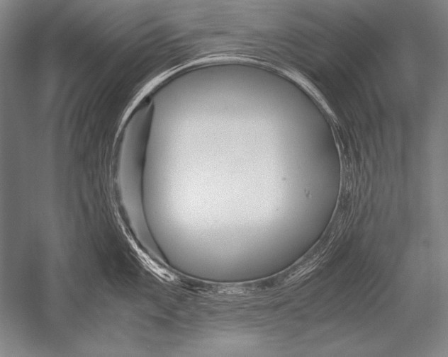 X0000051271101200507082236