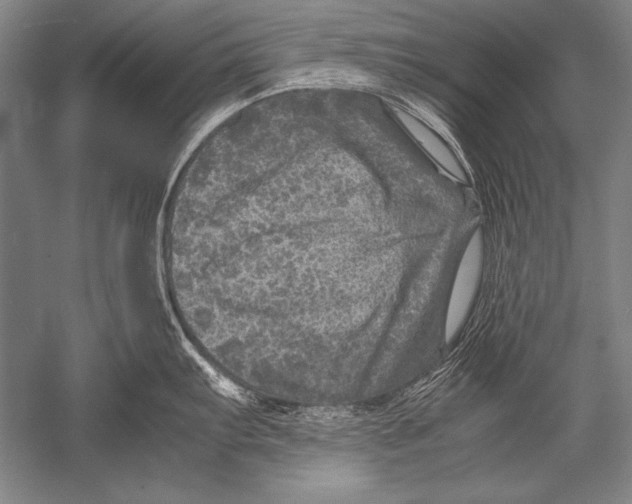 X0000051271103200507082236