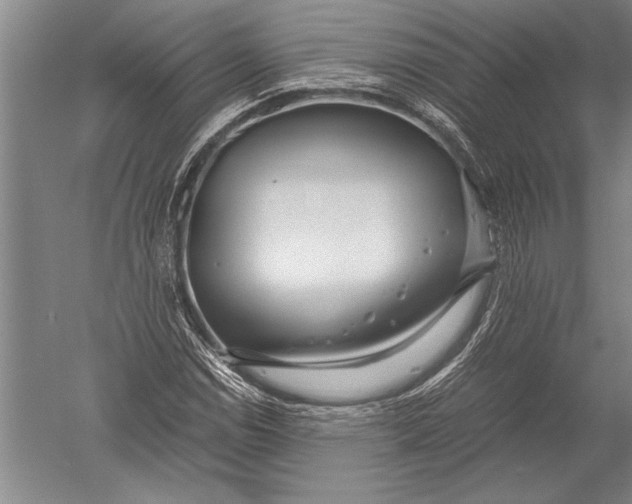 X0000051271114200507082236