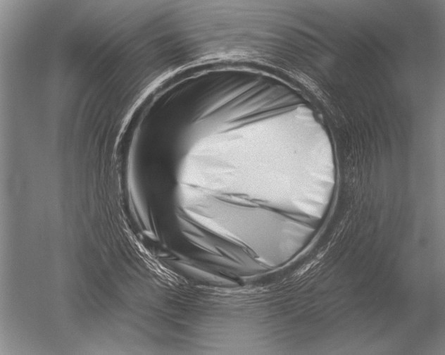 X0000051271118200507082236