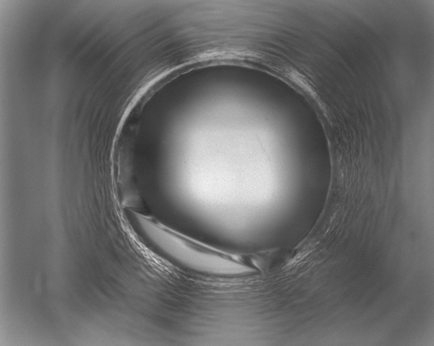 X0000051271124200507082236