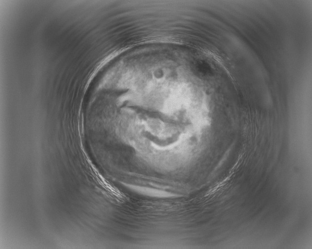 X0000051271125200507082236