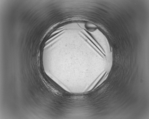 X0000051271126200507082236