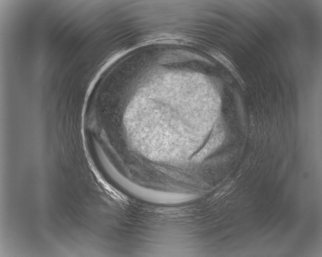 X0000051271128200507082236