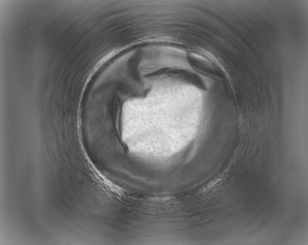 X0000051271133200507082236