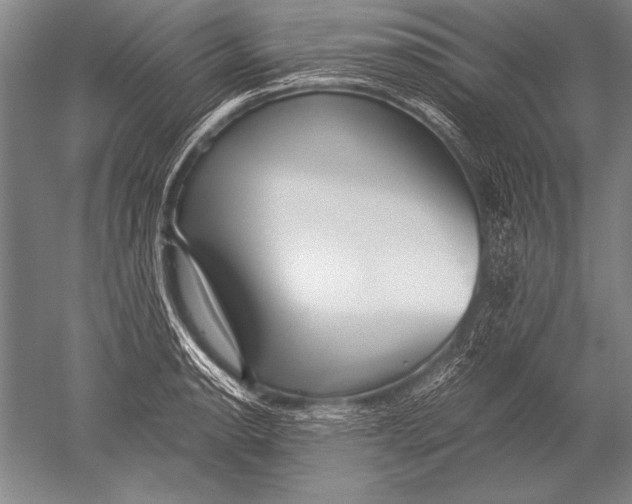 X0000051271134200507082236