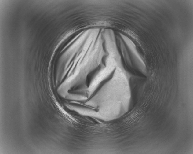 X0000051271135200507082236