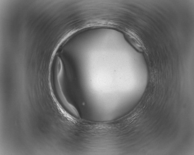 X0000051271136200507082236