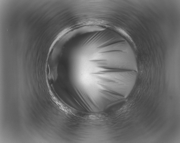 X0000051271138200507082236
