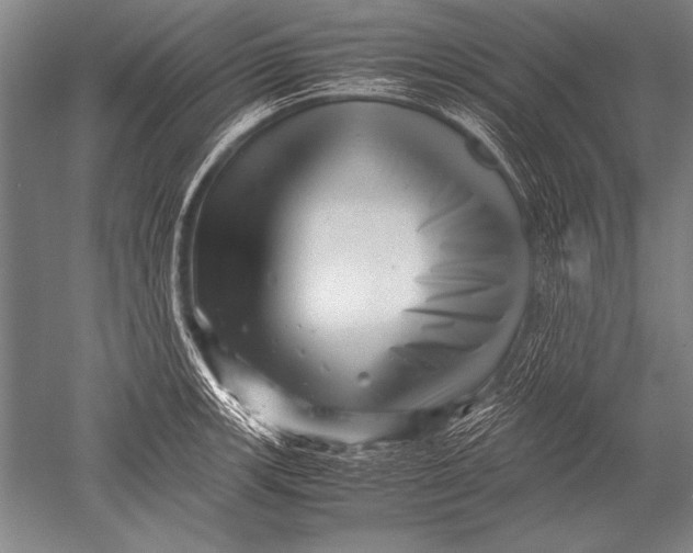 X0000051271139200507082236
