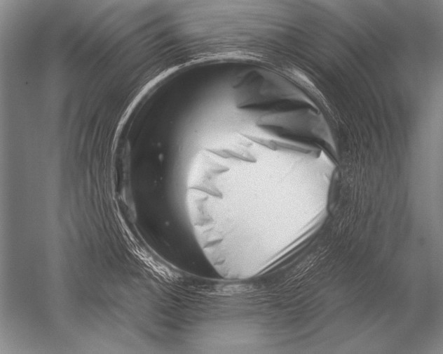 X0000051271140200507082236