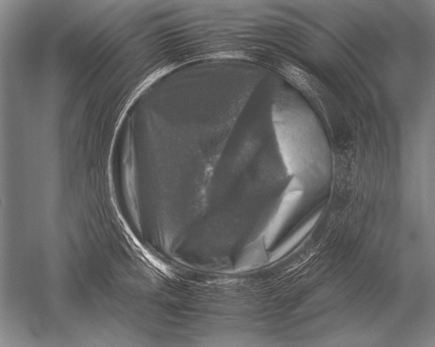 X0000051271141200507082236