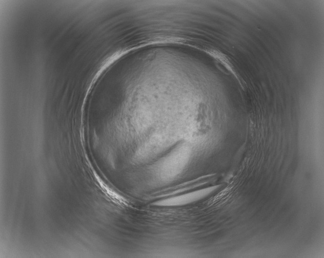 X0000051271143200507082236