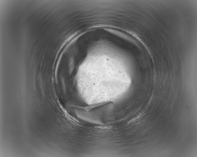 X0000051271145200507082236