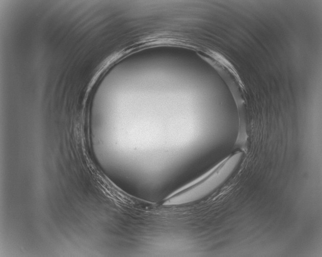 X0000051271146200507082236